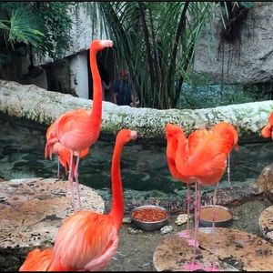 Meet your Posher, Maryam